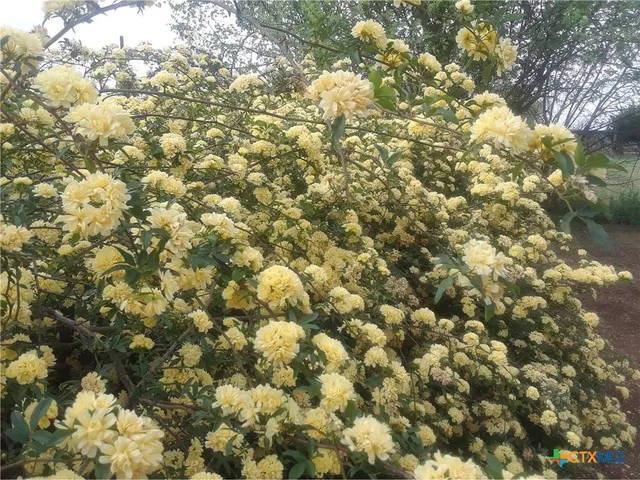 an aerial view of a house with a garden