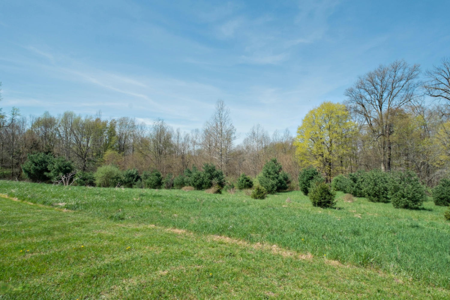 2780 Wolf Road Eau Claire, MI 49111 - Photo 54 of 56 2780 Wolf Road-32