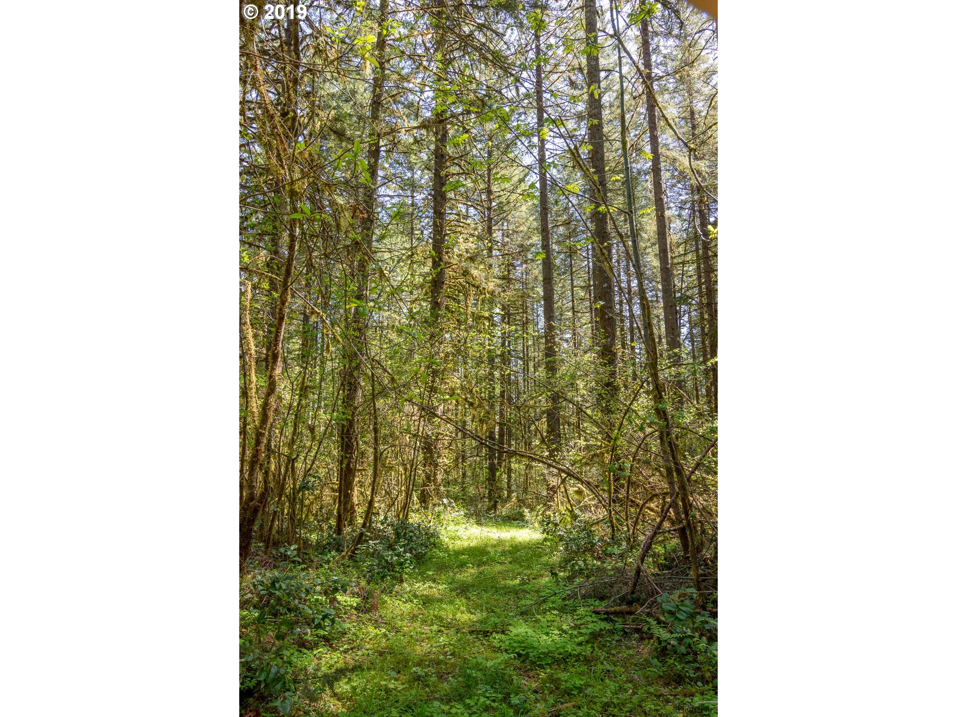 94880 Marcola Road Marcola, OR 97454 - Photo 26 of 32 Gallery Image 26