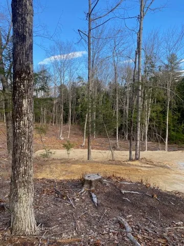 $200,000 | 15-12-10-6 15-12-10-6 Jacob Hall Farm Road, Unit 5, Rumney, NH 03266