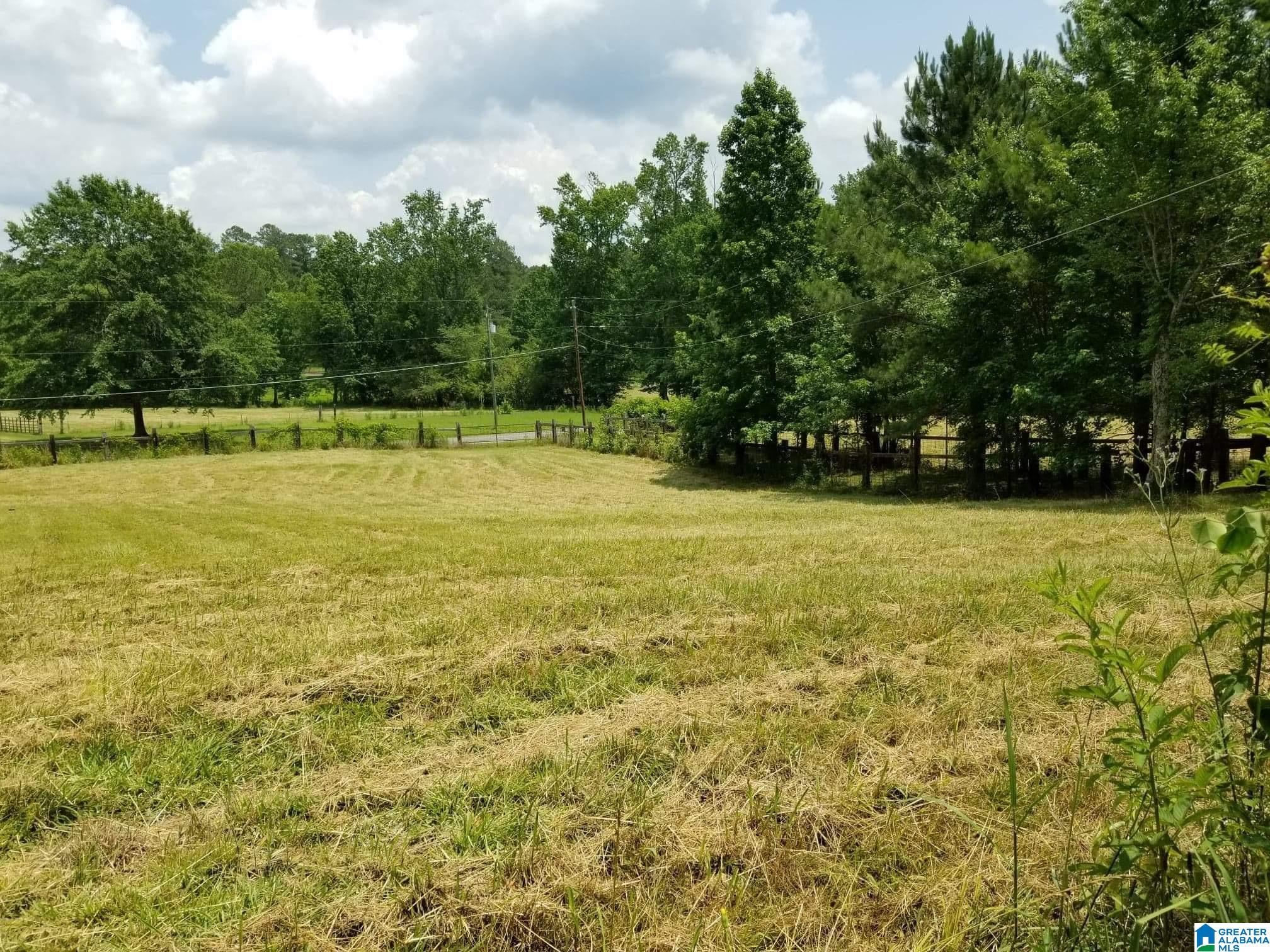 Honeycutt Road Remlap, AL 35133 - Photo 6 of 24