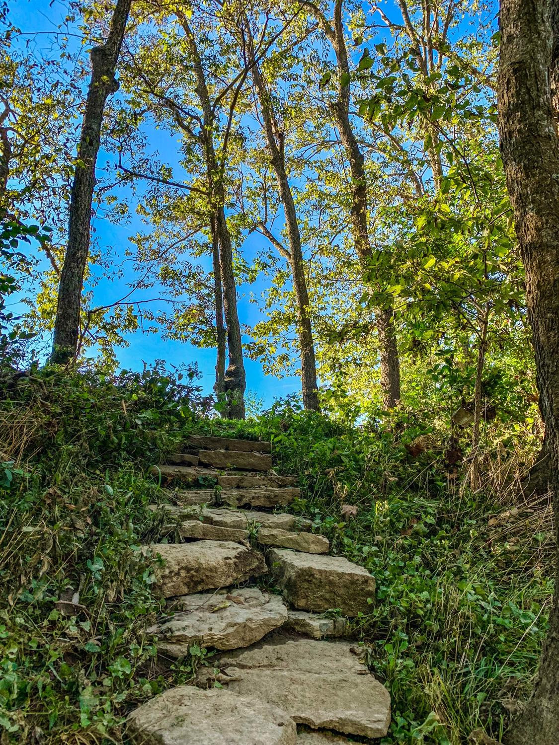 964 Galloway Road Stamping Ground, KY 40379 - Photo 47 of 53 Photo 47