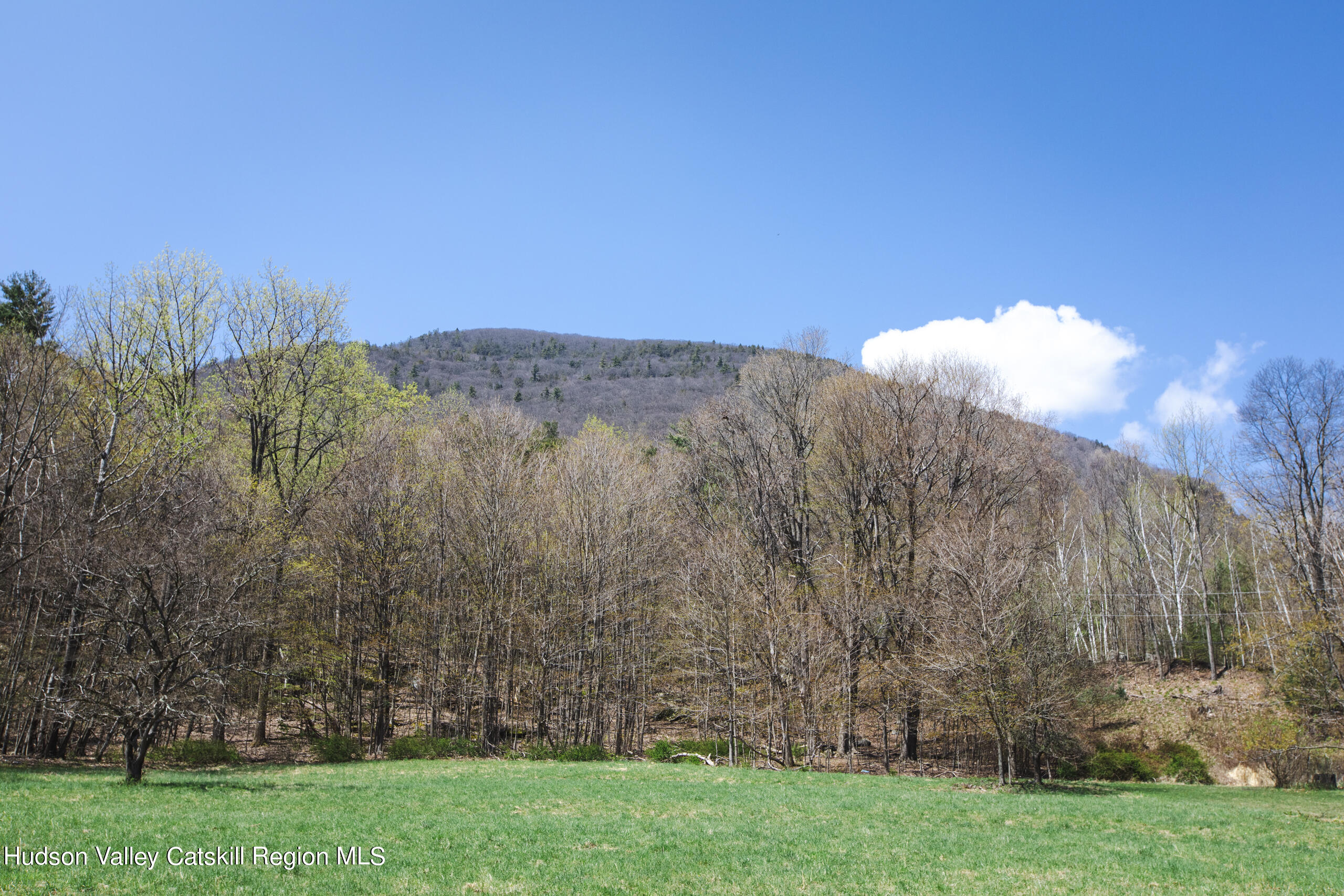 41 Becker Road Saugerties, NY 12477 - Photo 28 of 34 NS.042524.293