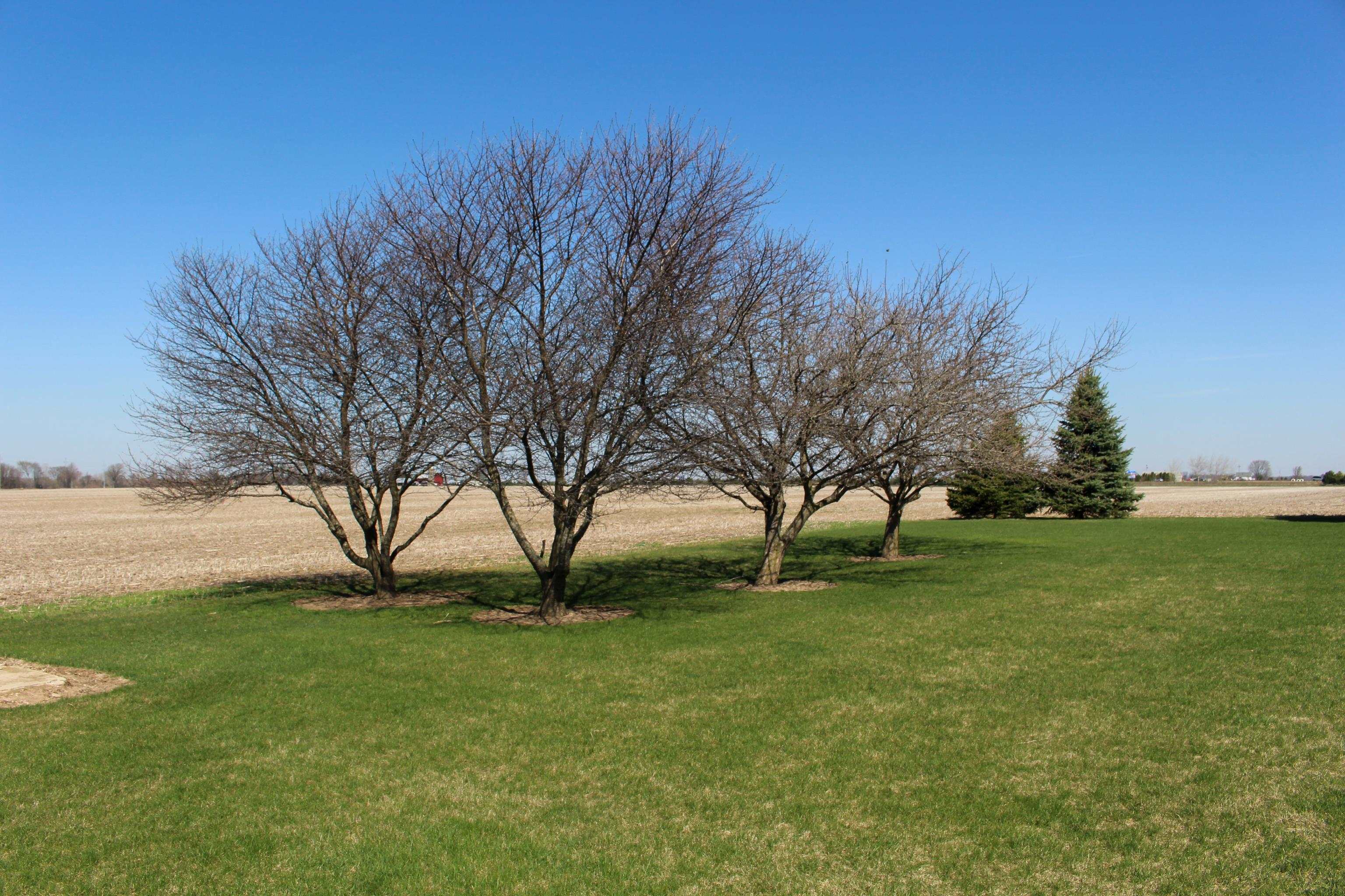 6398 South Leaton Road Shepherd, MI 48883 - Photo 25 of 29