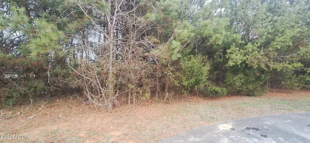 $37,500 | Raintree Lane, Kingston, TN 37763