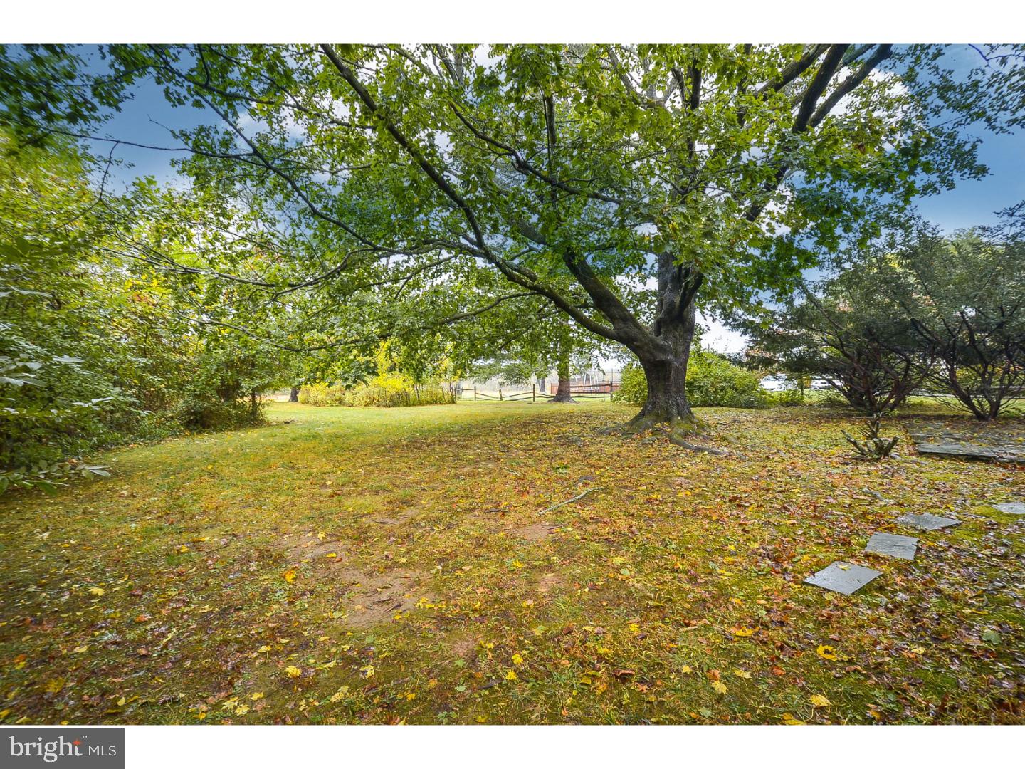 37 Meade Road Ambler, PA 19002 - Photo 23 of 25 View in Back