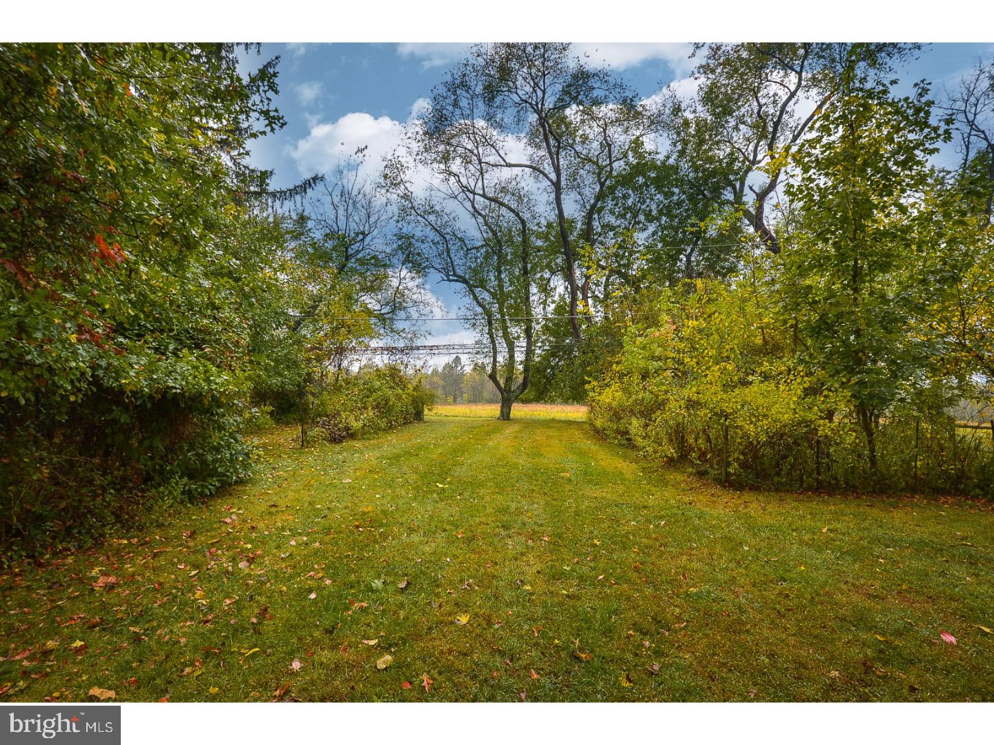 37 Meade Road Ambler, PA 19002 - Photo 24 of 25 View in Back