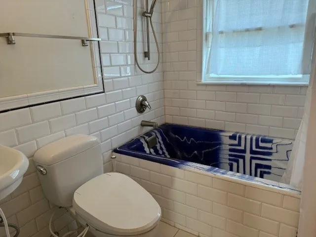 a bathroom with a toilet and a sink