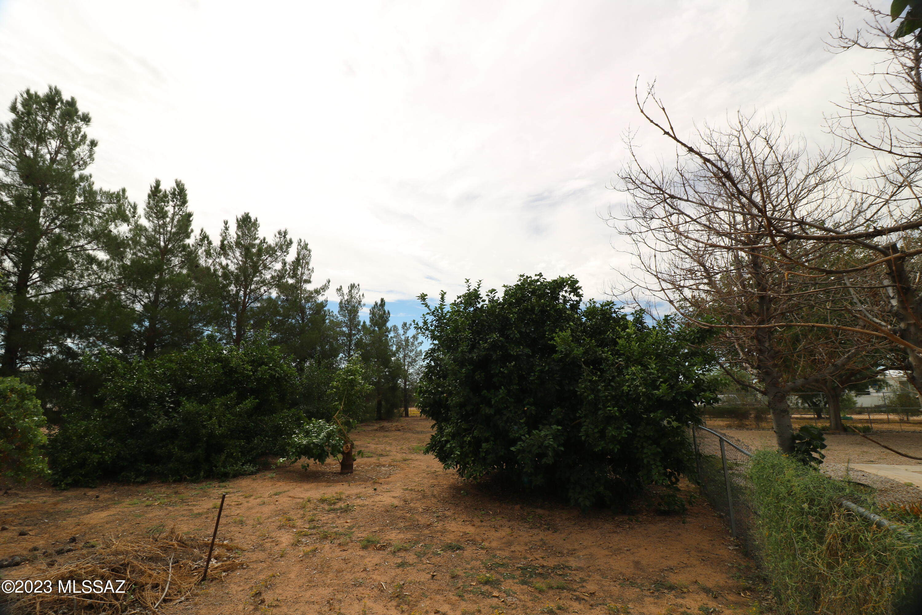 12481 West Mile Wide Road Tucson, AZ 85743 - Photo 20 of 36 Gallery Image 20