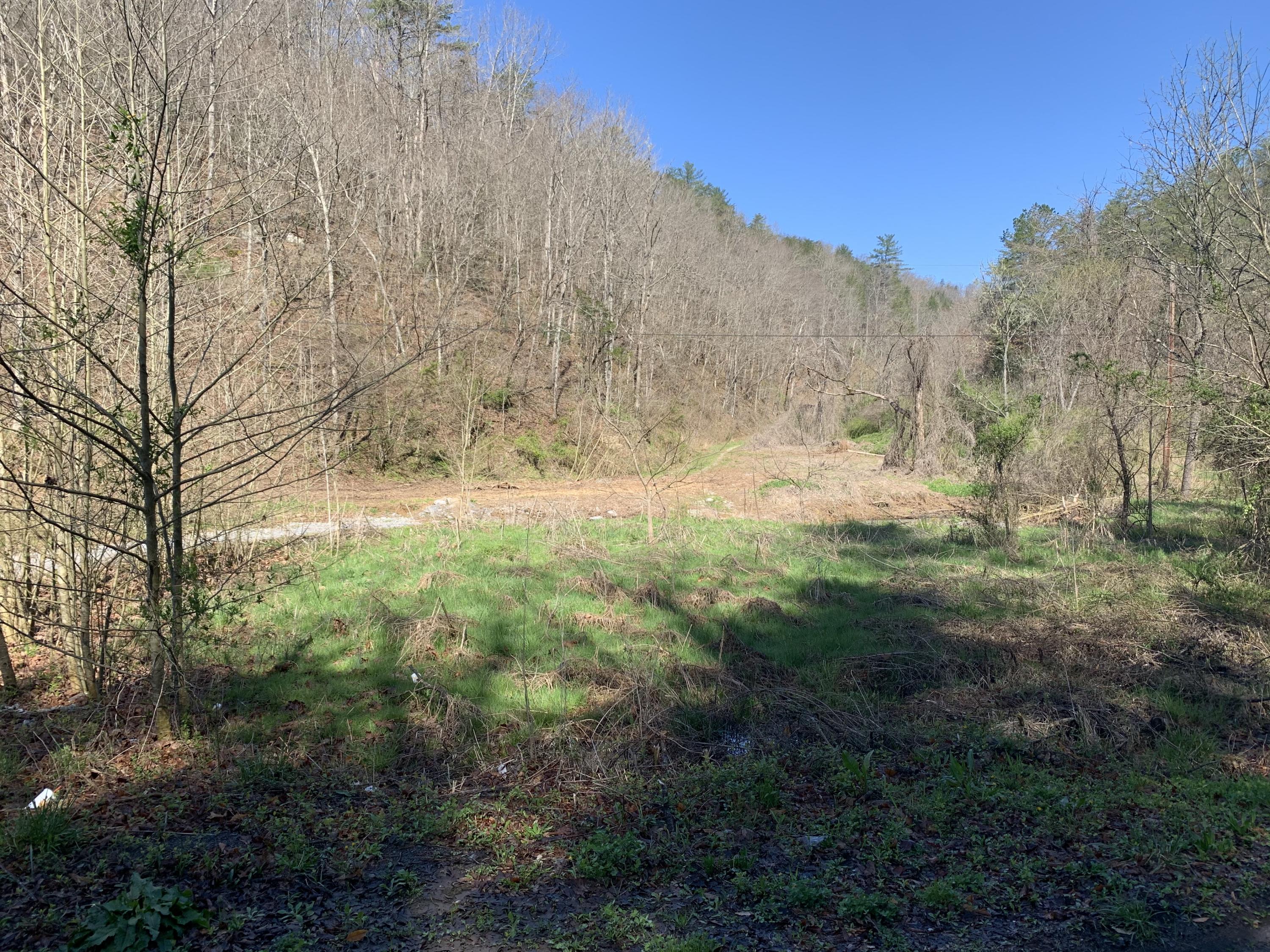 173.7-ac Middle Creek Road Cosby, TN 37722 - Photo 3 of 14 IMG_9556