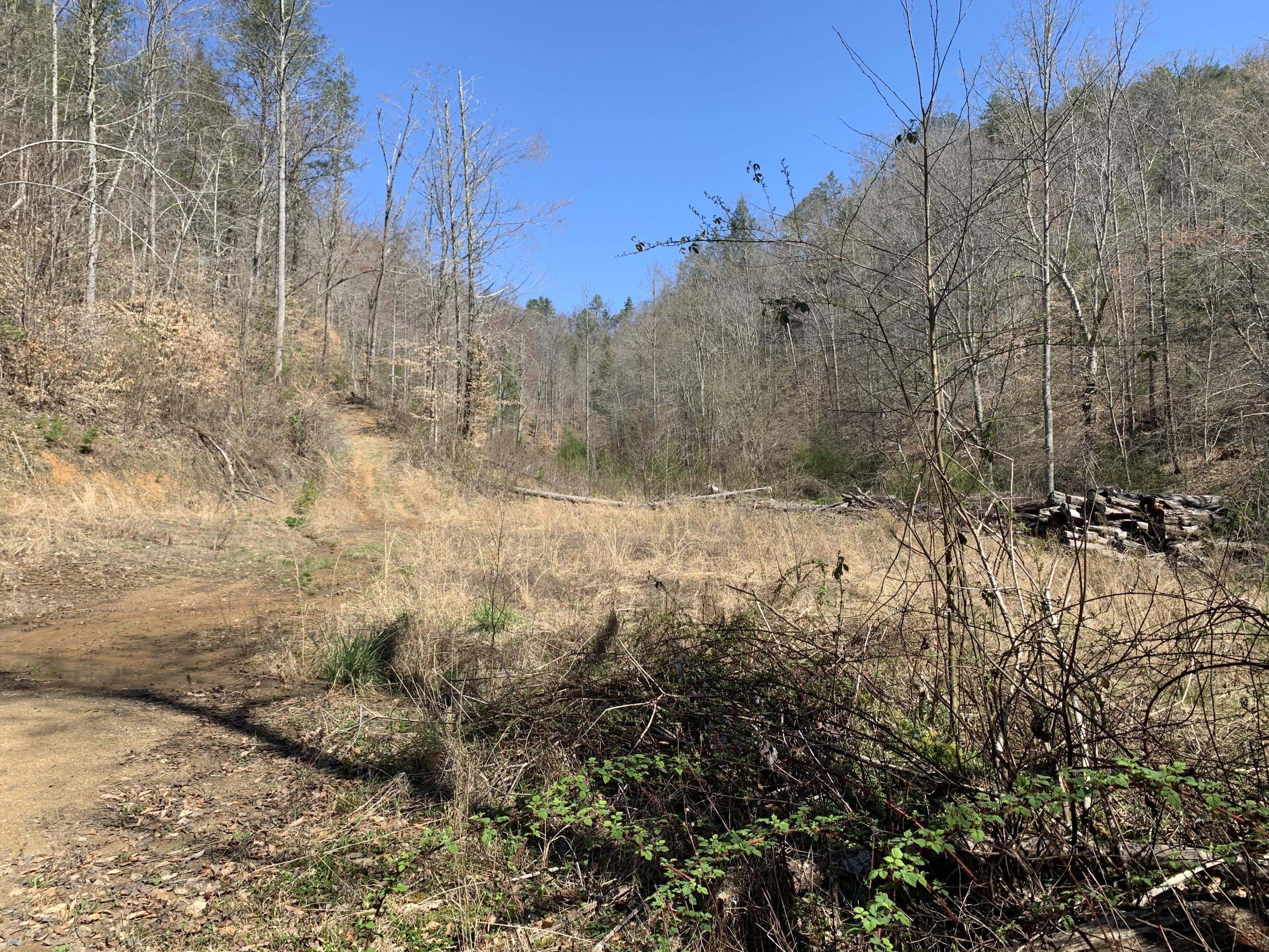 173.7-ac Middle Creek Road Cosby, TN 37722 - Photo 5 of 14 IMG_9572