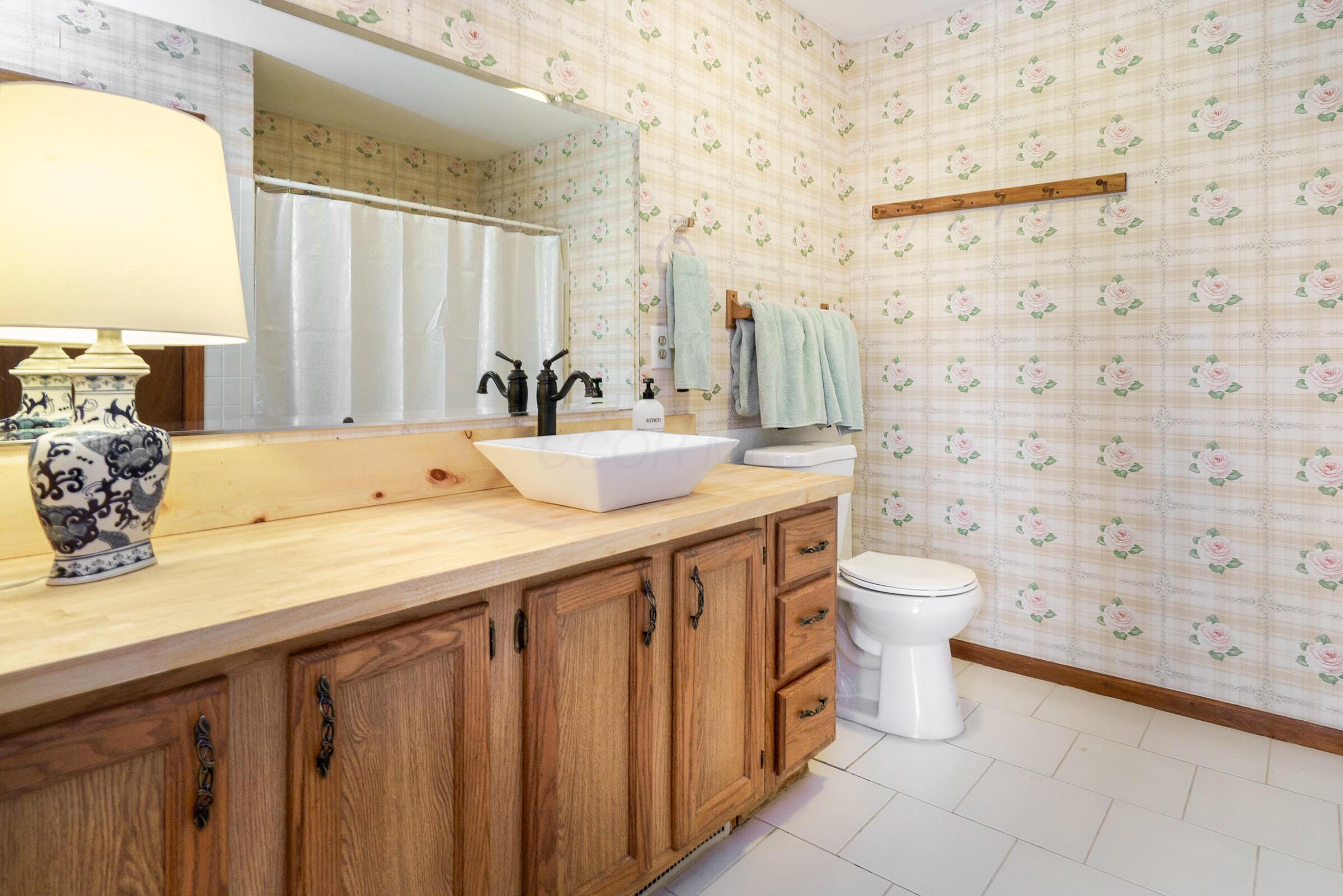 1203 Hiner Road Orient, OH 43146 - Photo 25 of 48 Full Bathroom 1