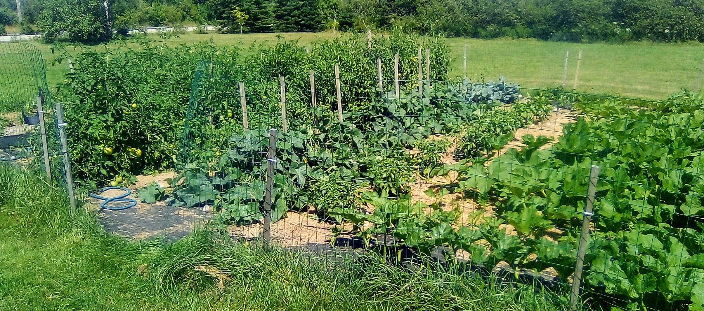840 County Road Lubec, ME 04652 - Photo 27 of 40 original_c435d7f8-6745-4ecd-9952-0c84184