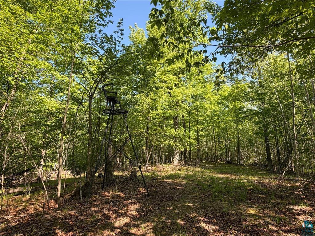 54003 Dollar Lake Road Sandstone, MN 55072 - Photo 21 of 40