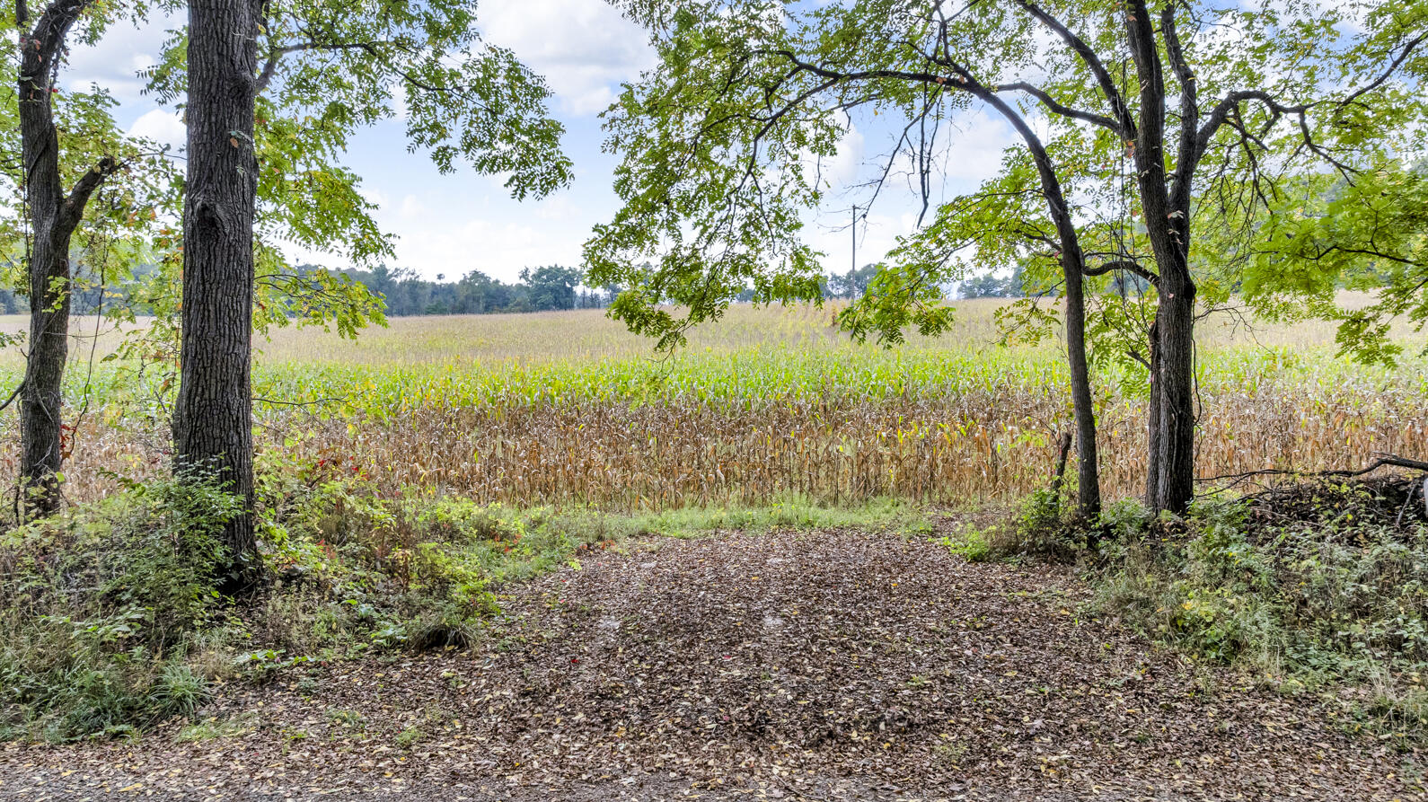 0 Grover Road Hanover, MI 49241 - Photo 12 of 12 Grover Rd (Vacant Land) Hanover MI (Aeri