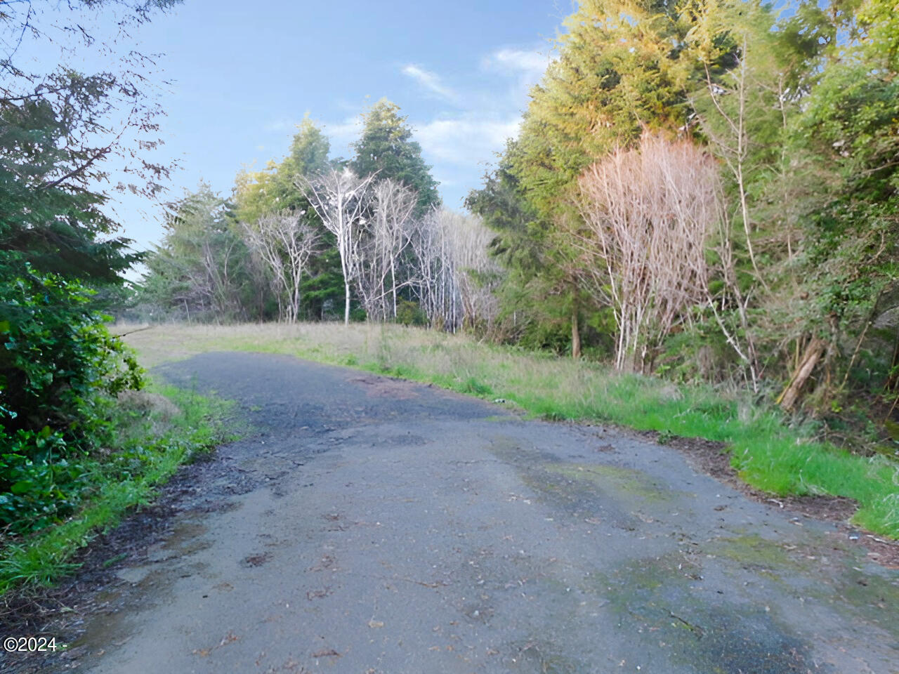 390 Northeast Rebel Road Waldport, OR 97394 - Photo 4 of 5 2024-03-13 009