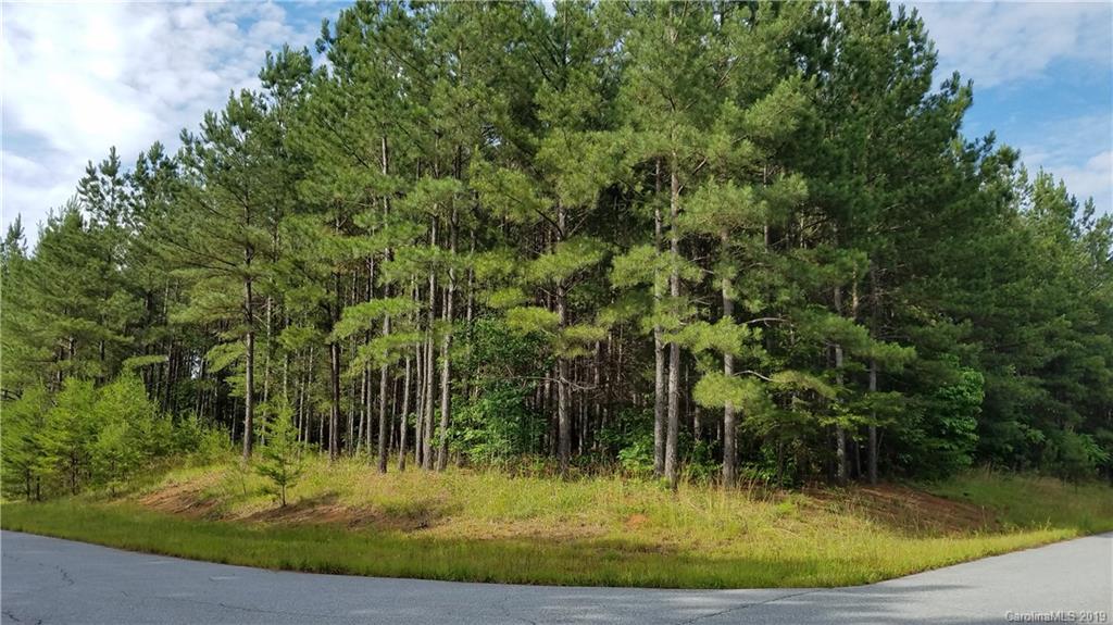 0 Sunset Drive, Unit 2 Mill Spring, NC 28756 - Photo 1 of 25 Gallery Image 1