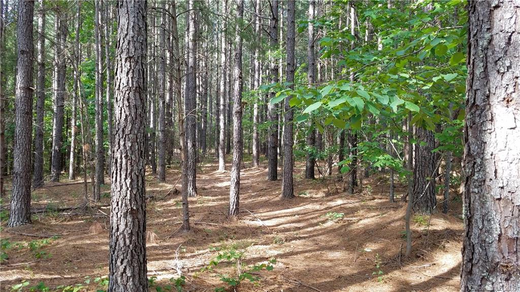 0 Sunset Drive, Unit 2 Mill Spring, NC 28756 - Photo 11 of 25 Gallery Image 11