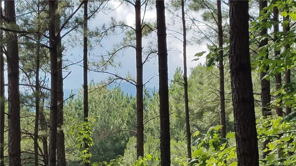 0 Sunset Drive, Unit 2 Mill Spring, NC 28756 - Photo 14 of 25 Gallery Image 14