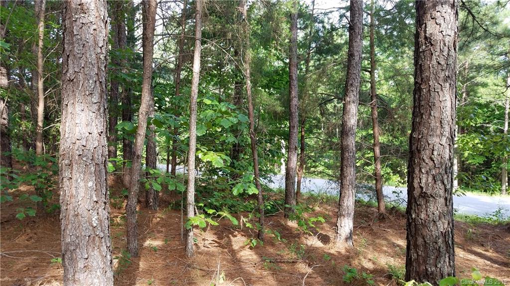 0 Sunset Drive, Unit 2 Mill Spring, NC 28756 - Photo 17 of 25 Gallery Image 17
