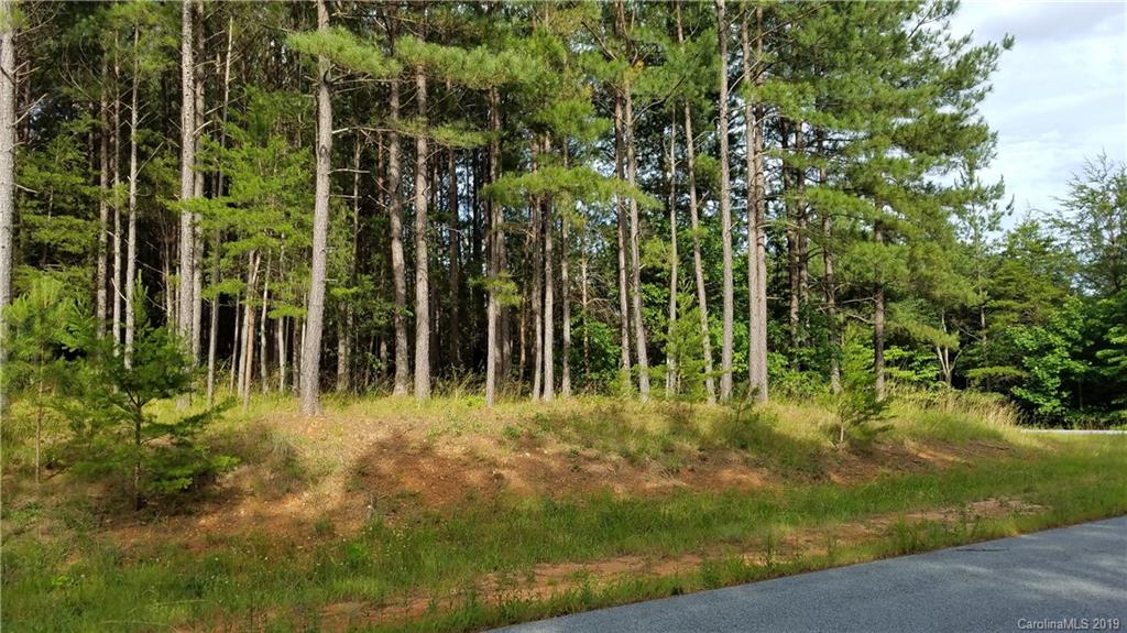 0 Sunset Drive, Unit 2 Mill Spring, NC 28756 - Photo 18 of 25 Gallery Image 18