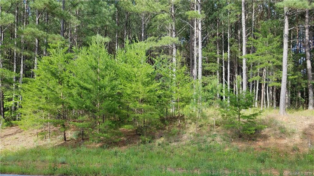 0 Sunset Drive, Unit 2 Mill Spring, NC 28756 - Photo 19 of 25 Gallery Image 19