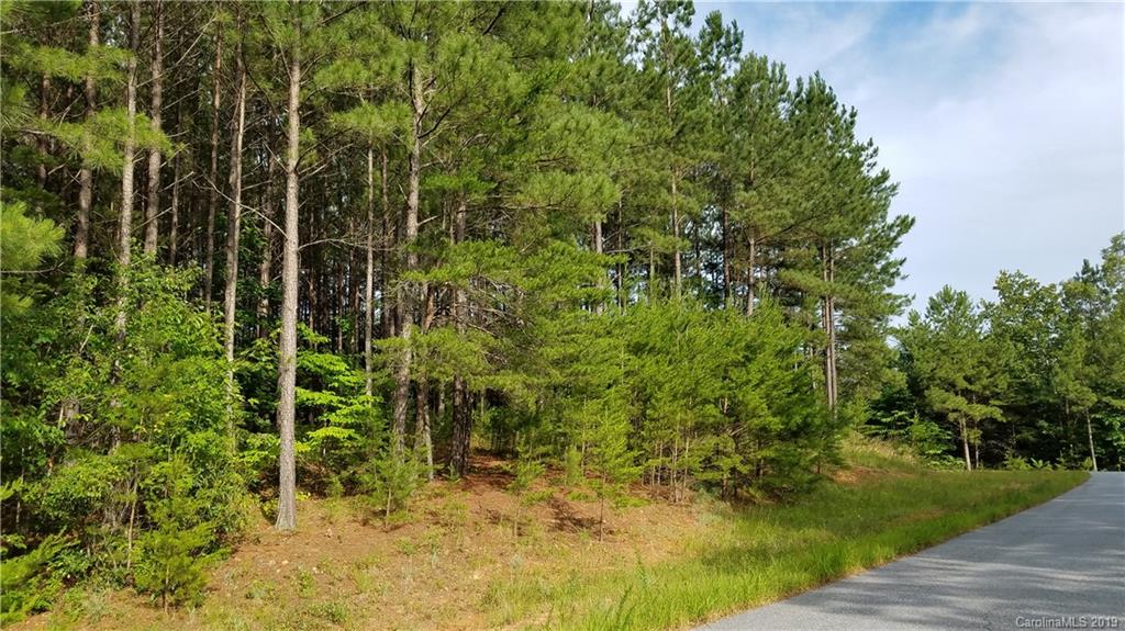 0 Sunset Drive, Unit 2 Mill Spring, NC 28756 - Photo 21 of 25 Gallery Image 21