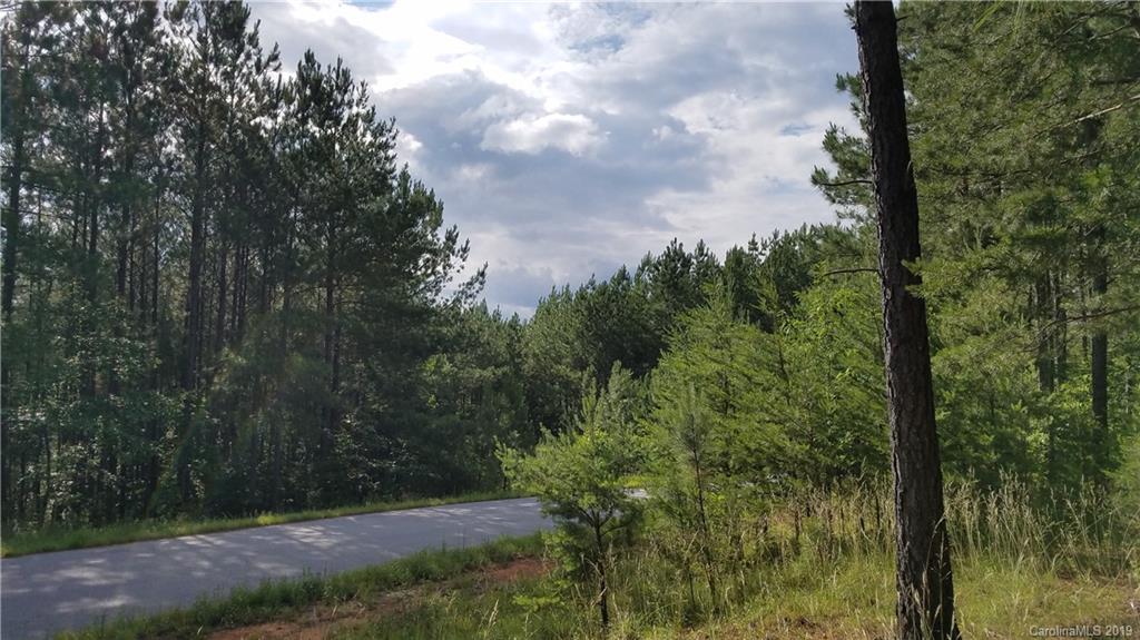 0 Sunset Drive, Unit 2 Mill Spring, NC 28756 - Photo 23 of 25 Gallery Image 23