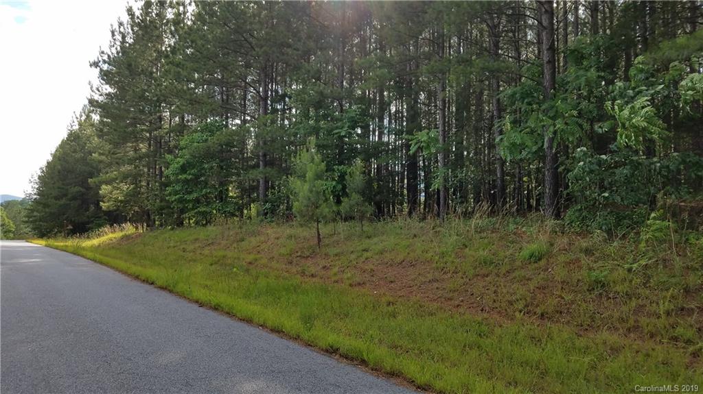 0 Sunset Drive, Unit 2 Mill Spring, NC 28756 - Photo 5 of 25 Gallery Image 5