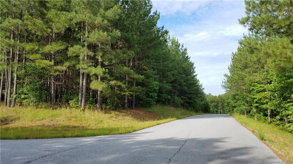 0 Sunset Drive, Unit 2 Mill Spring, NC 28756 - Photo 6 of 25 Gallery Image 6