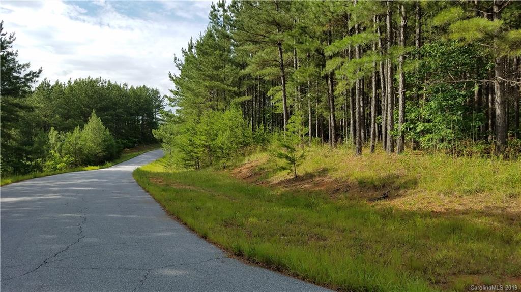 0 Sunset Drive, Unit 2 Mill Spring, NC 28756 - Photo 7 of 25 Gallery Image 7