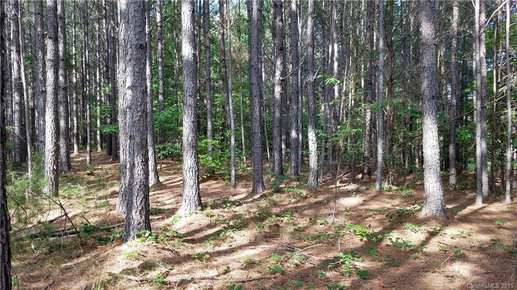 0 Sunset Drive, Unit 2 Mill Spring, NC 28756 - Photo 8 of 25 Gallery Image 8