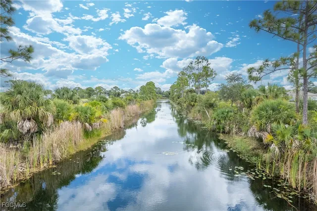 a view of a lake with lots of trees