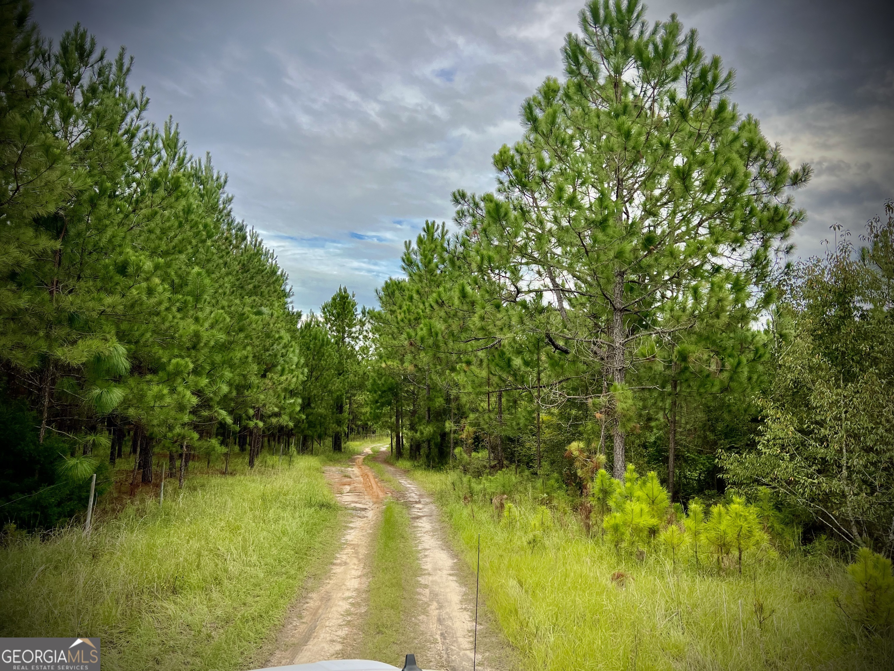 1179 Hall Road Dublin, GA 31021 - Photo 1 of 1 Gallery Image 1
