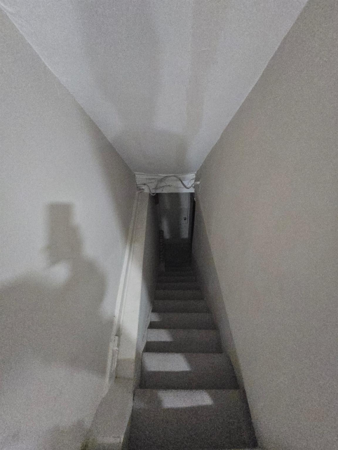 35-14 109th Street Queens, NY 11368 - Photo 28 of 38 View of stairs