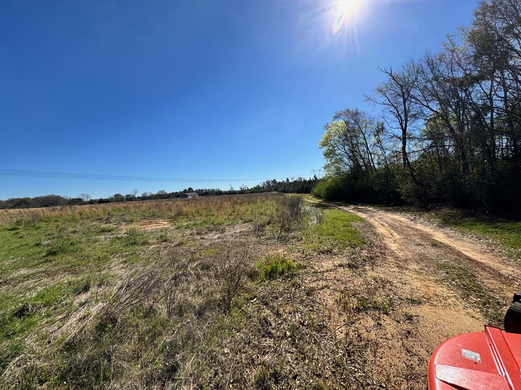 0 Macedonia Ch Road Columbia, AL 36319 - Photo 20 of 61