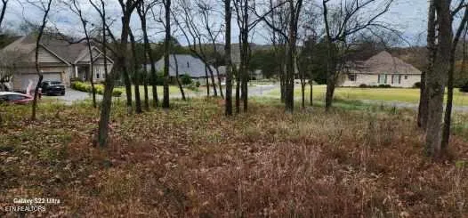 $110,000 | 188 Dudi Trail, Vonore, TN 37885