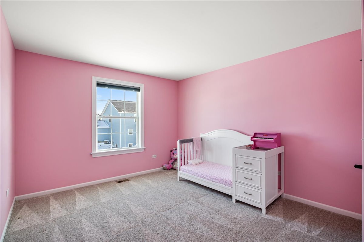 11306 Kinney Way Huntley, IL 60142 - Photo 44 of 75