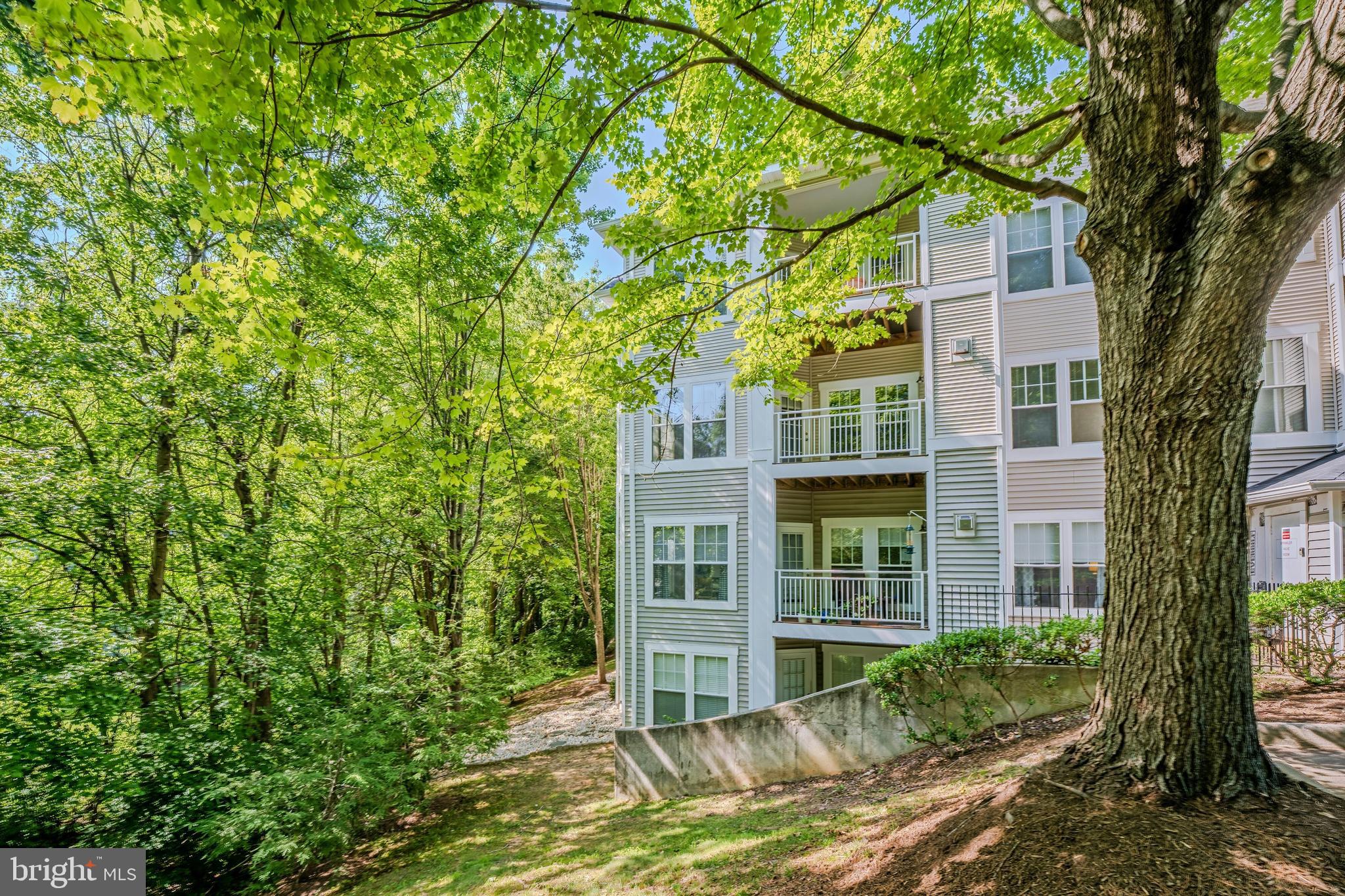 1520 North Point Drive, Unit 30202 Reston, VA 20194 - Photo 28 of 29 Private Setting