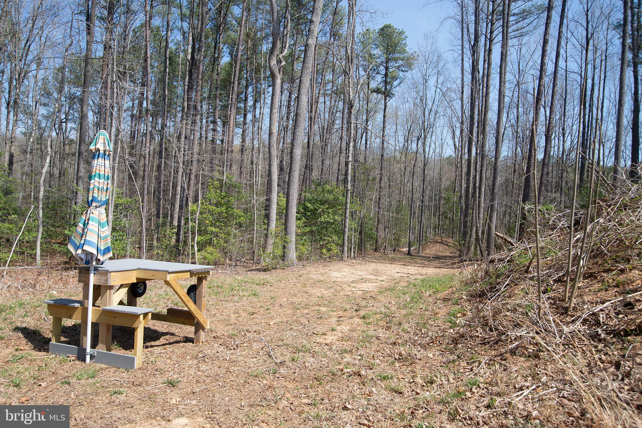 4415 Jericho Road Ruther Glen, VA 22546 - Photo 82 of 96