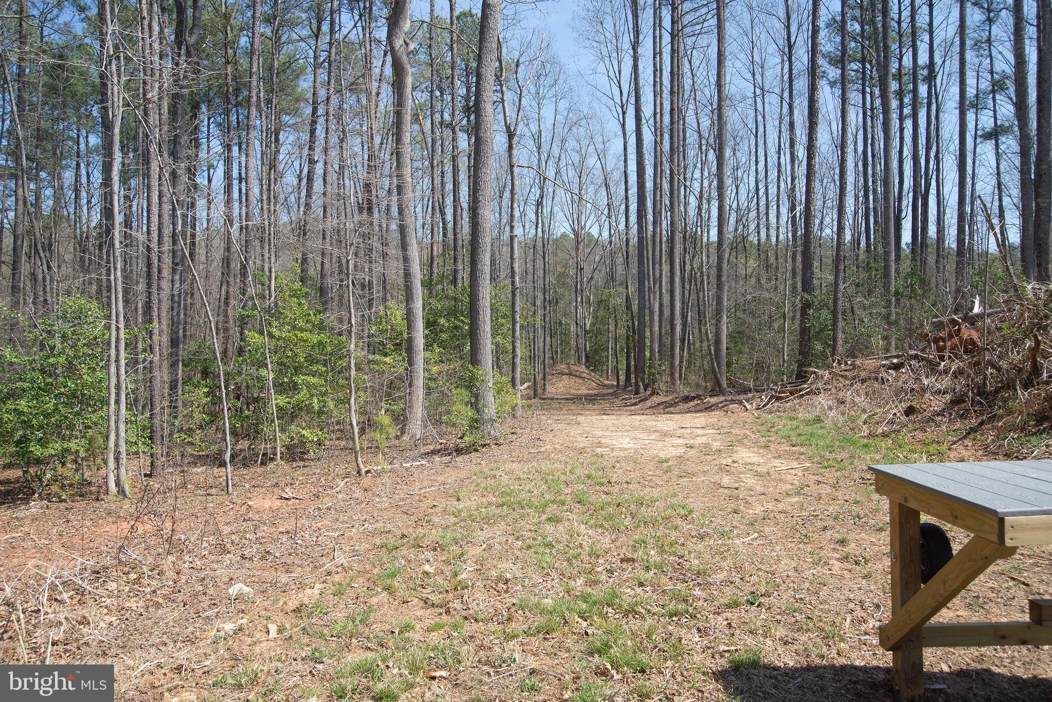 4415 Jericho Road Ruther Glen, VA 22546 - Photo 83 of 96