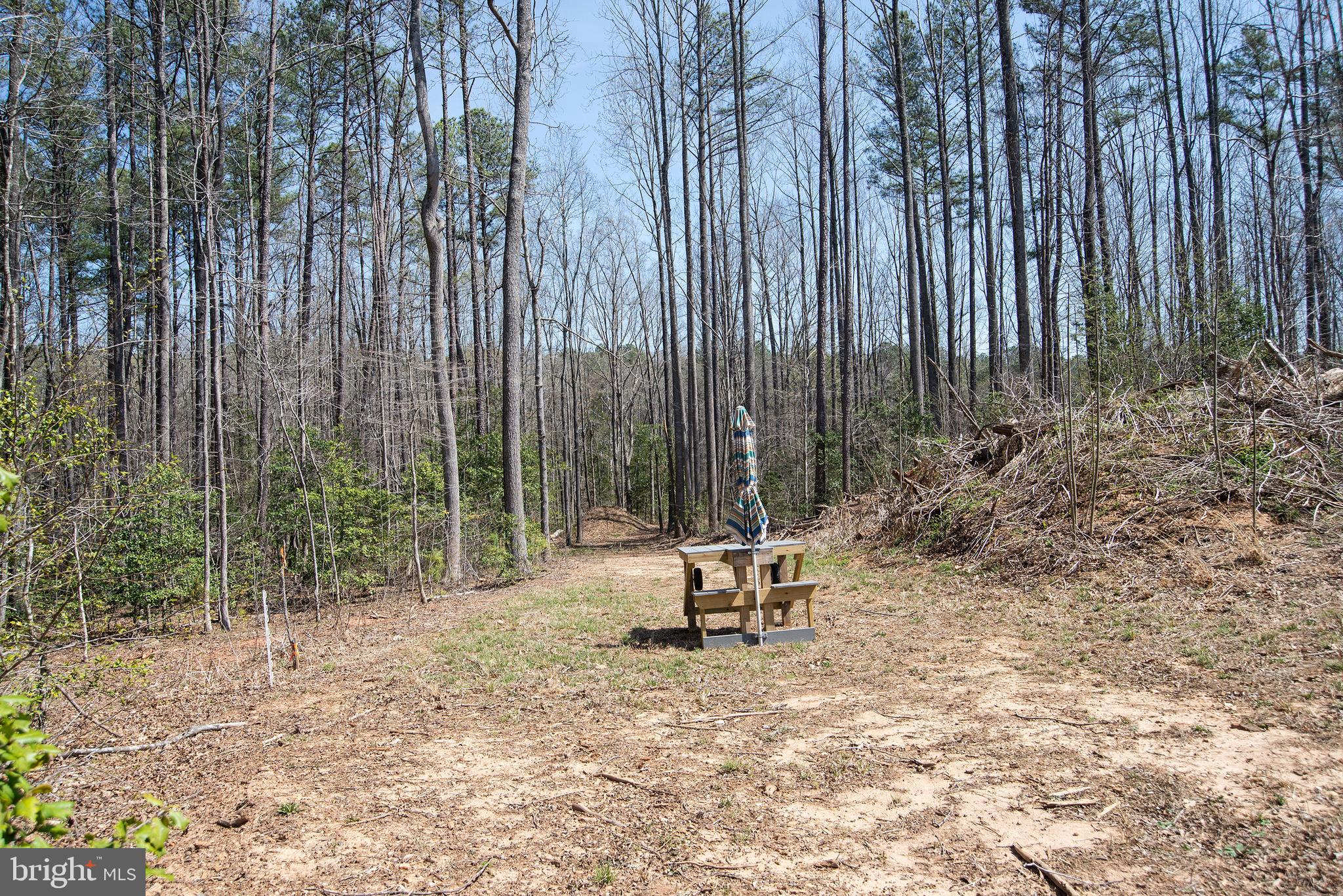 4415 Jericho Road Ruther Glen, VA 22546 - Photo 84 of 96