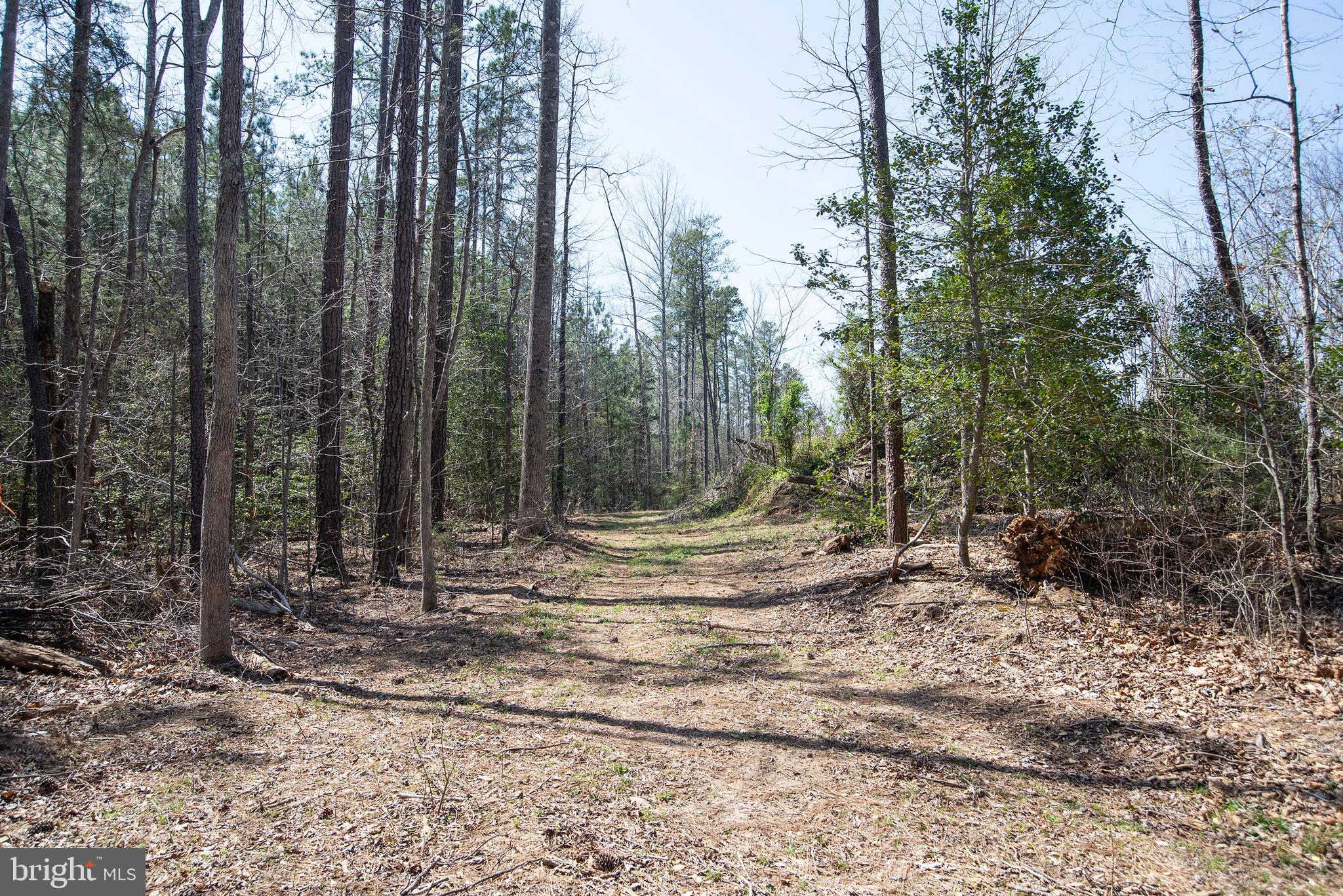 4415 Jericho Road Ruther Glen, VA 22546 - Photo 95 of 96