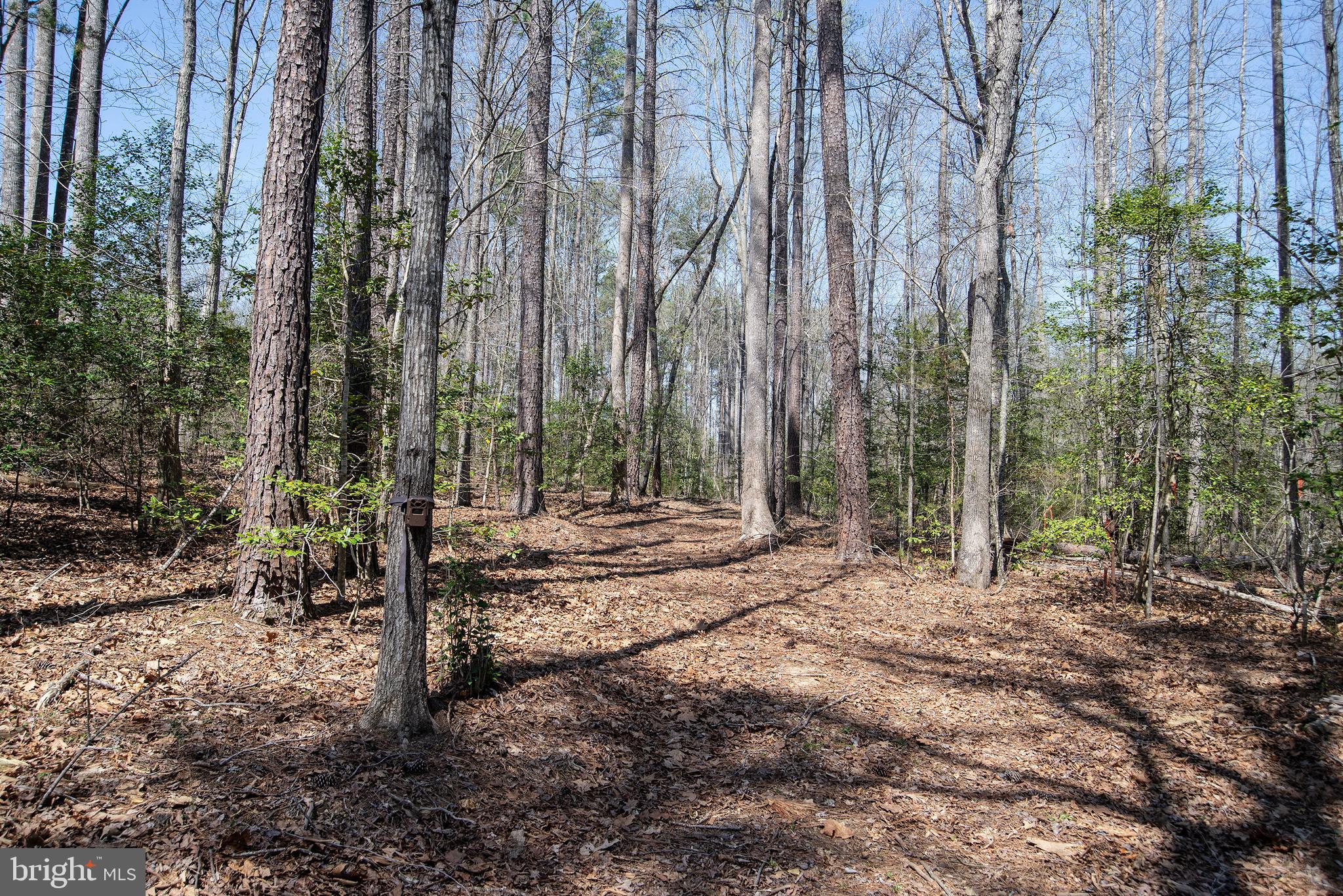 4415 Jericho Road Ruther Glen, VA 22546 - Photo 96 of 96