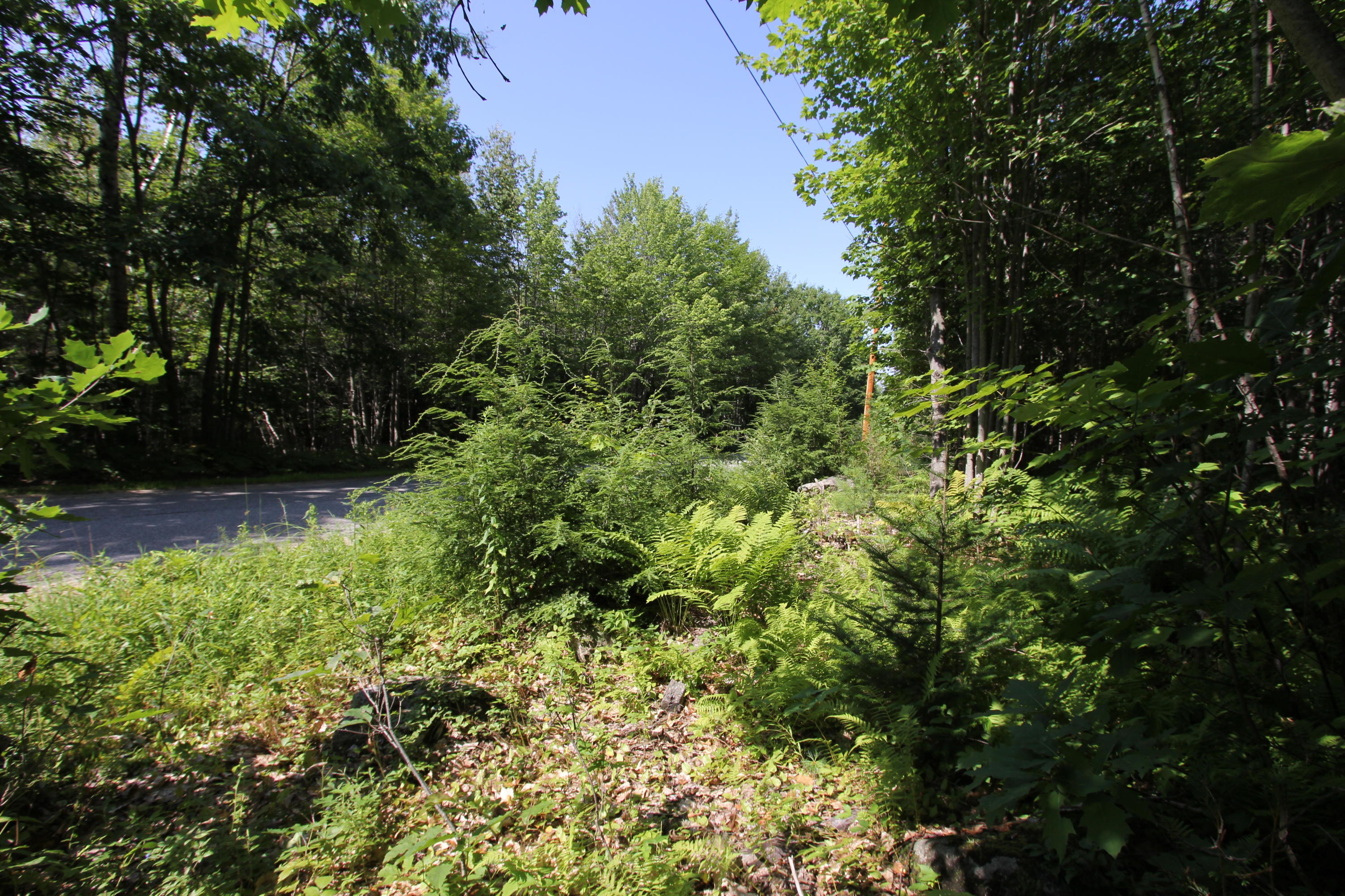 Lot 48-3 Dearborn Road Canton, ME 04221 - Photo 3 of 4 IMG_0196