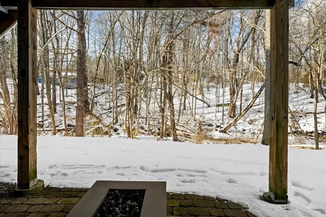 a view of a house with a large tree