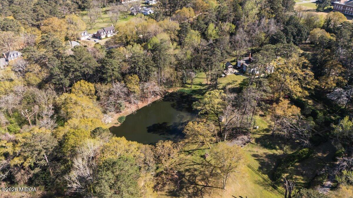 4727 Rivoli Drive Macon, GA 31210 - Photo 46 of 52 12-DJI_20240319163102_0106_D