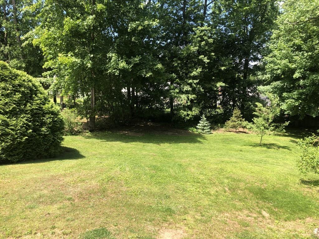 140 Canterbury Road Springfield, MA 01118 - Photo 8 of 35 a view of yard with green space