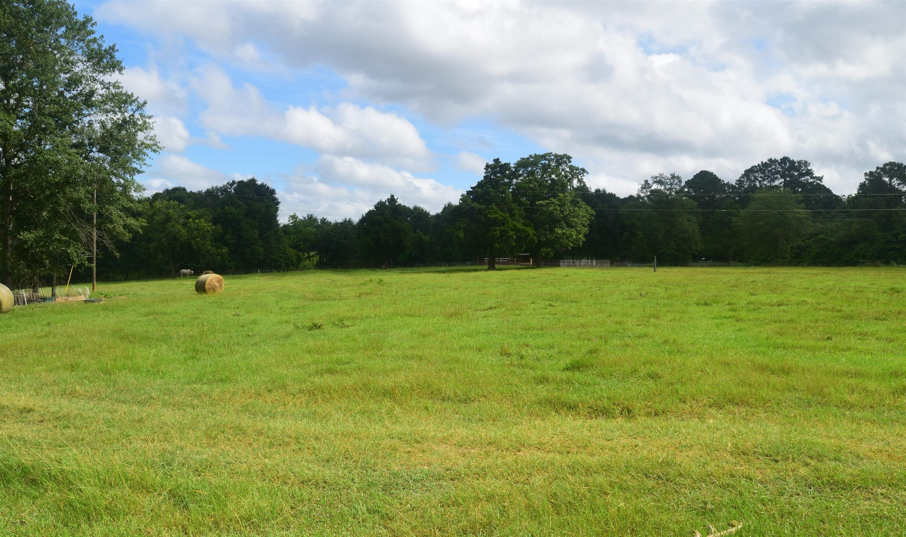 22535 Rosin Ridge Road Red Level, AL 36474 - Photo 43 of 46 Gallery Image 43