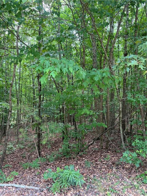 7655 Fern Lane Lula, GA 30554 - Photo 2 of 4